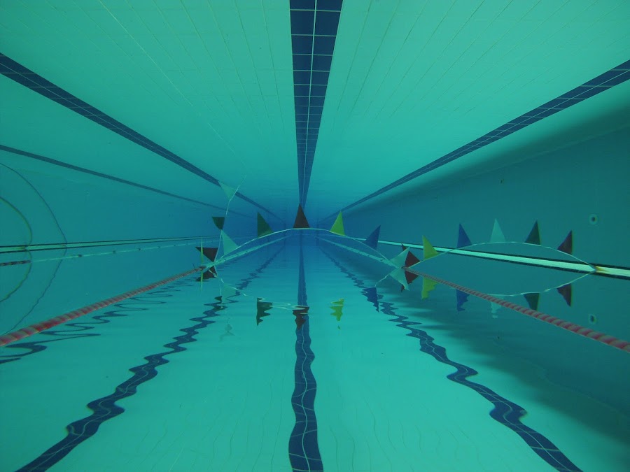 Clube Fluvial Portuense - Complexo de Piscinas